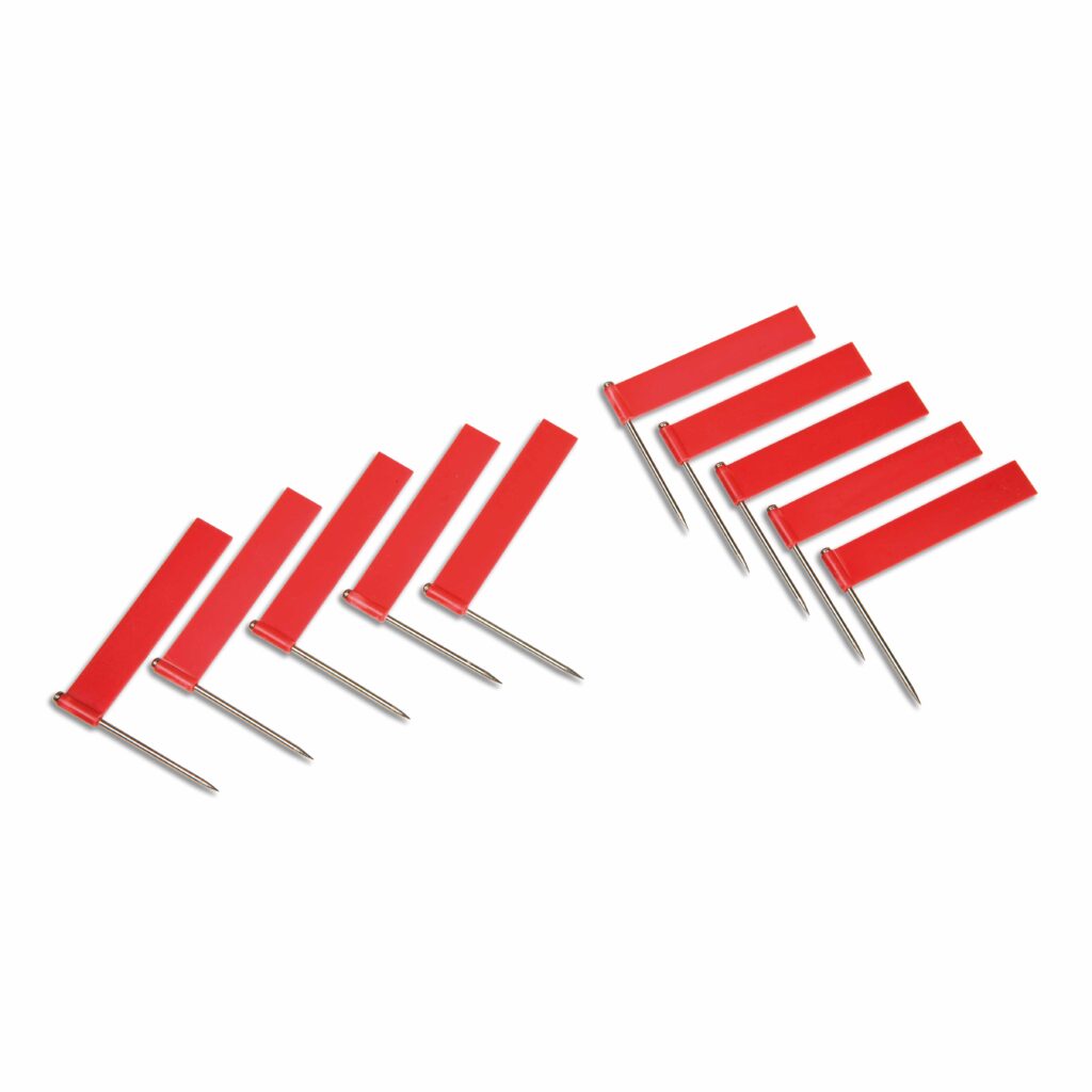 10 banderas rojas lupa montessori