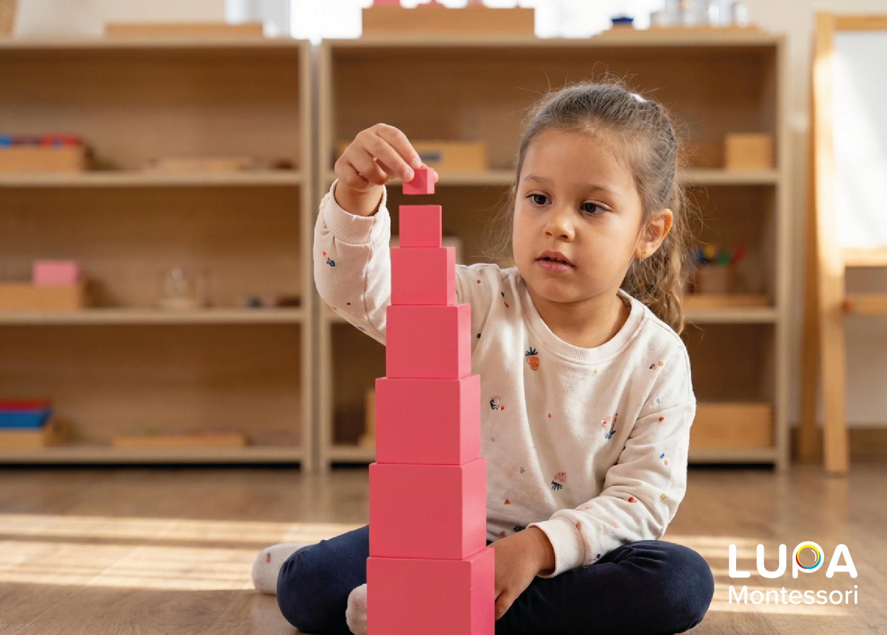 Mesa de trabajo 1OLINKA DIC V02